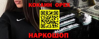 стафф Камышлов