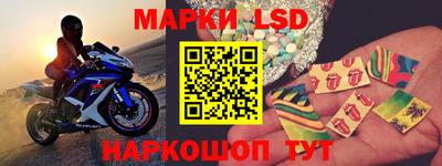 стафф Камышлов