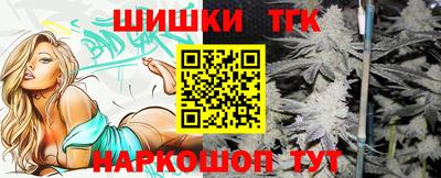 стафф Камышлов